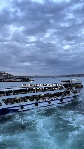 Öğrenilmiş çaresizlik.. #istanbul #fypシ゚viral #reels #kesfet #videography #vlogger #Vlog 