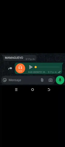 MAMAGUEBO ME DIJISTE MAMAGUEBO ME QUEDE !❗❗🗣️🗣️ #Audio #Viral #Mamaguebo