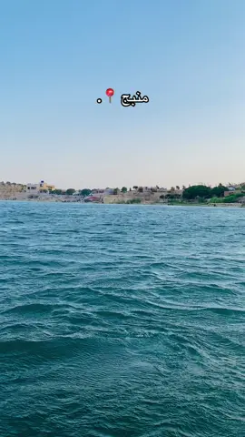 #منبج #حَسوون_السَلطااني🌷 #منبجنا😍💙 #تصويري📷 #السلطاني_🦅 