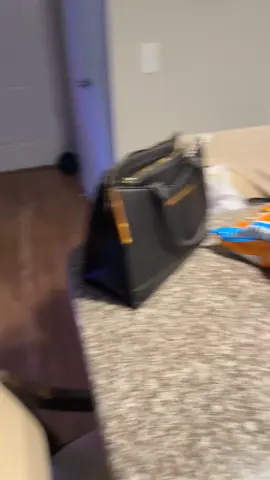 It’s the Cheeto dust all over his face that really ties this all together 😂 #blackcat #badcat #foodthief #funny #cheetos 