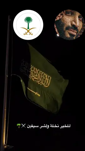 للخير نخلة ولشـر سيفين ⚔️🌴#الهشتاقات_للشيوخ #fypシ゚ #اكسبلور #سيفين_ونخلة #محمد_بن_سلمان 