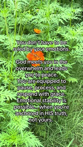 You already have what you need… whether you believe it or not ❤️ God is faithfully drawing you to himself friend. #christiangirl #emotionalintelligence #bibletok #godlovesyou #emotions #christiantok 