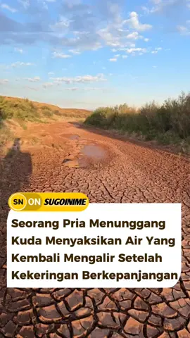 Air yang kembali mengalir setelah kekeringan panjang terasa seperti anugerah yang telah lama dinantikan, menghadirkan harapan baru bagi alam dan kehidupan di sekitarnya. #fyp #water #horse #kuda #air #nature