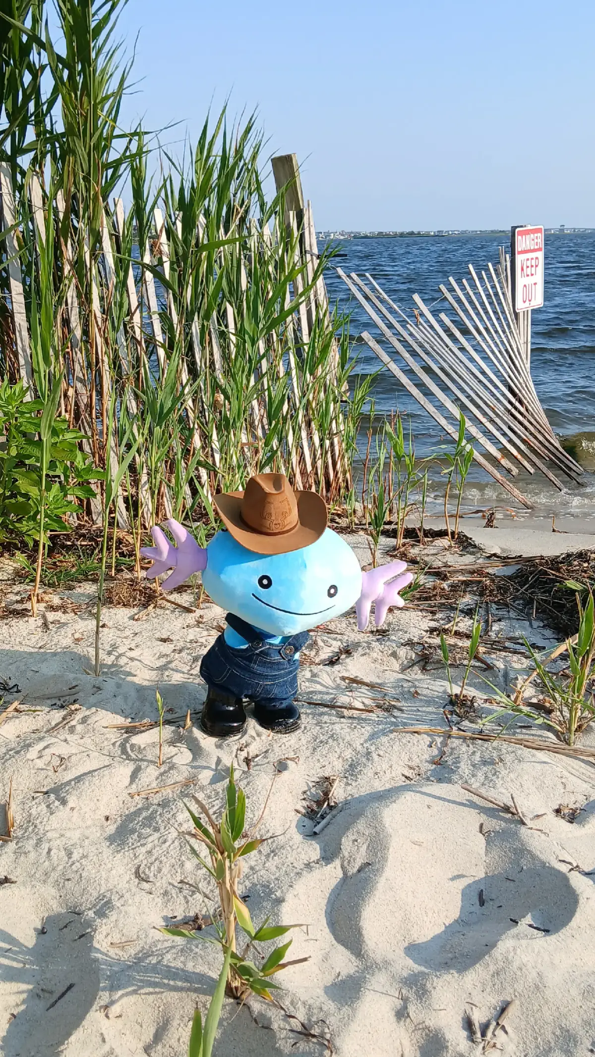 Wooper is ready for his long day of herding Horseas and Seadras. @Build-A-Bear  #pokemon #wooper #buildabear #pokemontiktok #pokemoncommunity #pokemonwooper #pokemondiamondandpearl #pokemongoldandsilver 