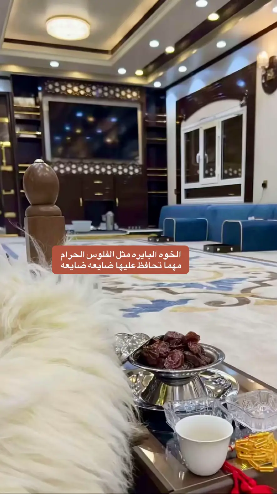 #الشعب_الصيني_ماله_حل  #ابداعات_شاعر_الكون  #سفر_الدغيلبي 