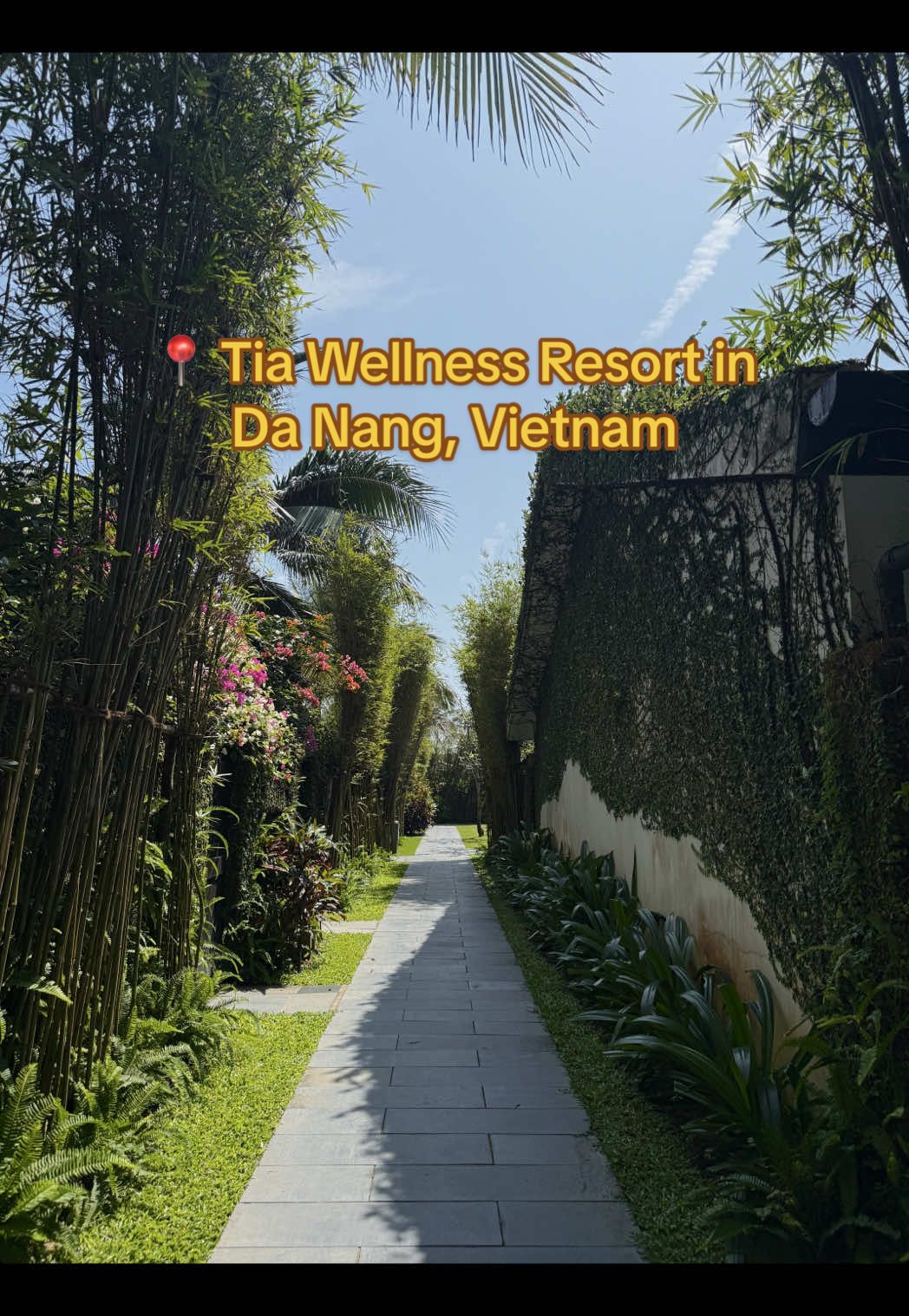 Looking for a place to stay in Da Nang, Vietnam 🇻🇳? We recommend Tia Wellness Resort.  We booked a one bedroom pool villa for our honeymoon and it was so relaxing! With breakfast buffet, daily activities and spa treatments included. ✨😍  #vietnamtravel #tiawellnessresort #danang #danangvietnam #danangaccommodation #traveltovietnam #vietnam #wheretostay #resort @TIA WELLNESS RESORT 
