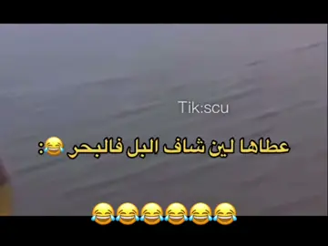 #CapCut #اكسبلووووووووووووووووووووورر♥️😚😒🥺 #الشعب_الصيني_ماله_حل😂😂 #حايلندا_اكسبلور_حايل #اكسبلورررر 