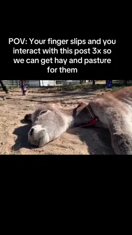 #fentysuperbrandday #unitedstates #donkeytube #ppppppppppppppppppppppp #unitedstates #donkeytube #unitedkingdom🇬🇧 #donkeytube #viraltiktok #donkeytube 