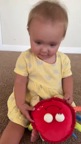 if you don’t have this toy for your baby yet, you need it! it’s so fun, so interactive, and is sure to put a smile on your little one’s face 🥹🫶🏼 @Hahaland #hahalandtoys #babytoys #babytiktok #babymusthaves 