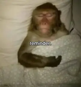 ho to sleep go to sleep #fyp #latenight #meme #xyz #gotosleep 