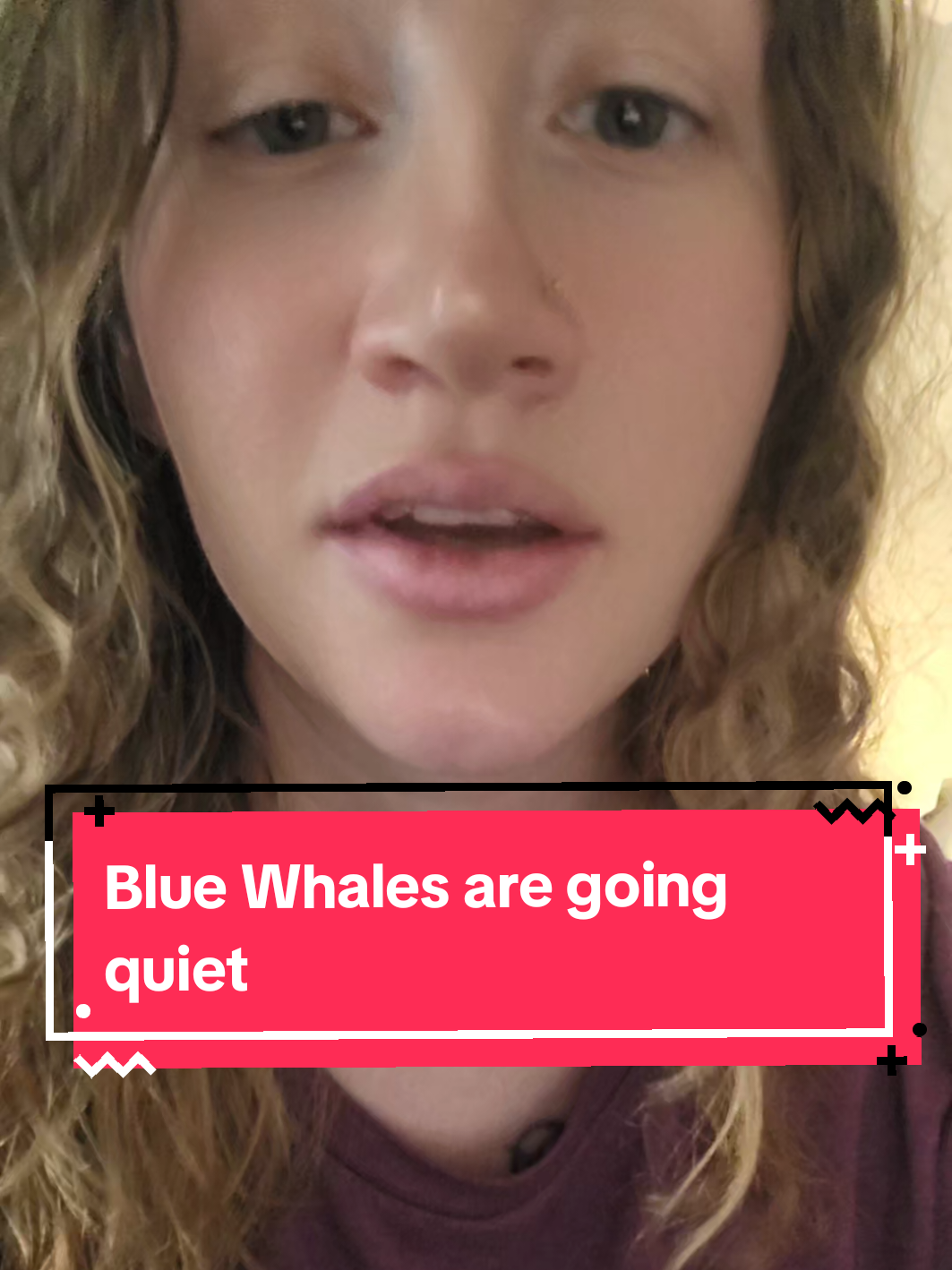 Blue Wales are going quiet Climate action groups: 350org, a22network, climateliberationaoetora, sunrisemvment, climatedefiance, fossilfreelondon, extinctionrebellion, risingtide.aus #ocean #earth #fyp #singing #Whales #air 