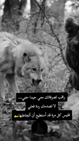 #ذئاب #تصميم_فيديوهات🎶🎤🎬 #عباراتكم_الفخمه📿📌 