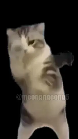 Mama sinetron garis keras 🗿 Voice : Abdur Arsyad - SUCI 4 #memekucing #animasi #kucing #fyp 