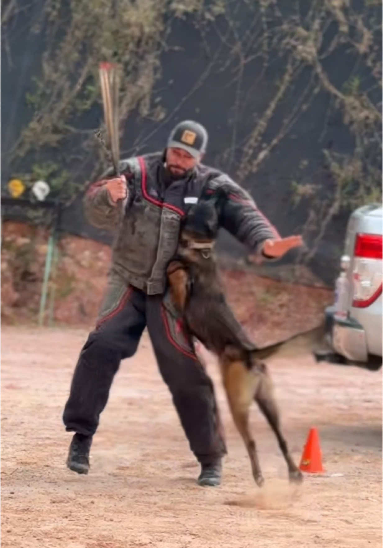 Ataque sorpresa con Ares @Trujillo89-K9 🔥🇨🇴 #PSA #dogsport #malinois #belgianmalinois #pastorbelgamalinois #k9 #dog #perro #amazing #dogtrainer #Viral #fyp #paratiiiiiiiiiiiiiiiiiiiiiiiiiiiiiii #colombia 