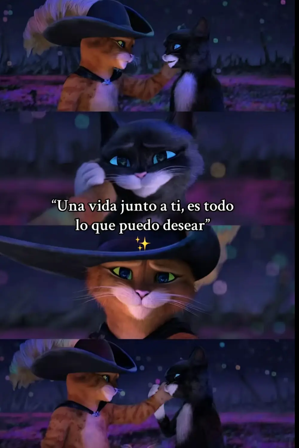 Formas para decirle 