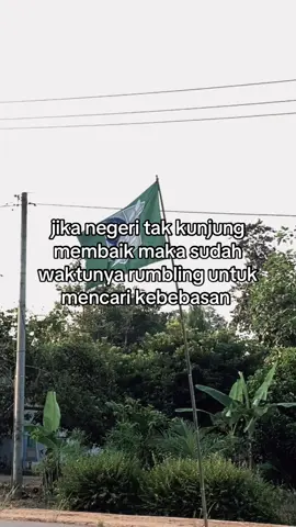 info tikum #promoseruweekend #creatorsearchinsights #sasageyo 
