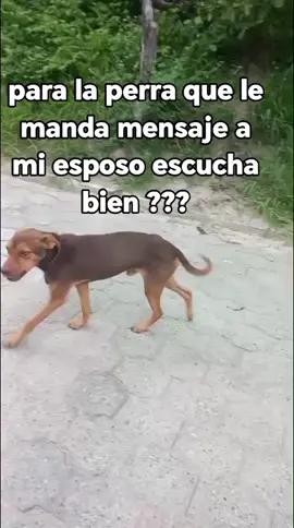 #viral #paratiiiiiiiiiiiiiiiiiiiiiiiiiiiiiii 