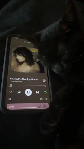 In honor of the Great Ozzy Osbourne #ozzyosbourne #mamaimcominghome #ozzyosbourneforever #nomoretears #ozzy #blackcat #sleepycat #fyp 