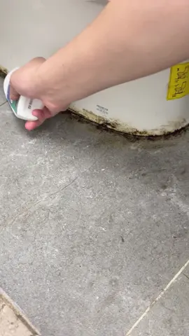 Wipe away the mildew stains, and the gaps will be as clean as new. #EcoEgret #USA #mold #active #moldstainremovergel #moldremover #showercleaning #washercleaning #moldcleaning #cleaningservice #cleaningtips #cleaninghacks #cleaningproducts#foru#fyp     