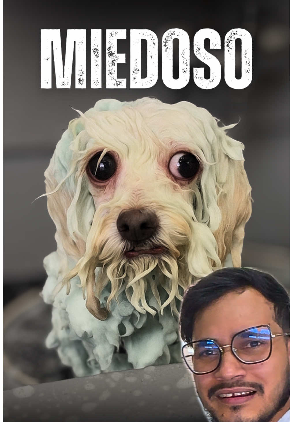 ME MORDIÓ ESTE PERRO COBARDE 😩 #pet #fyp #viral 