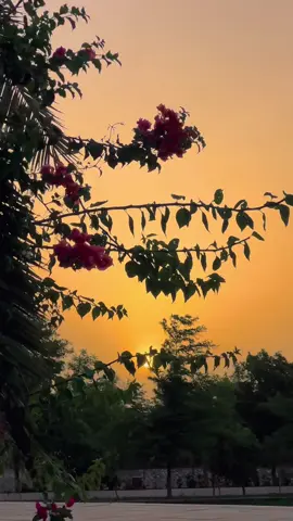 بوجھ بن جانے سے، یاد بن جانا زیادہ اچھا ہے۔🙂🍁✨💫#views #meh_alee #fypシ゚ #support_me #grow #tiktokviral #unfreezemyacount 