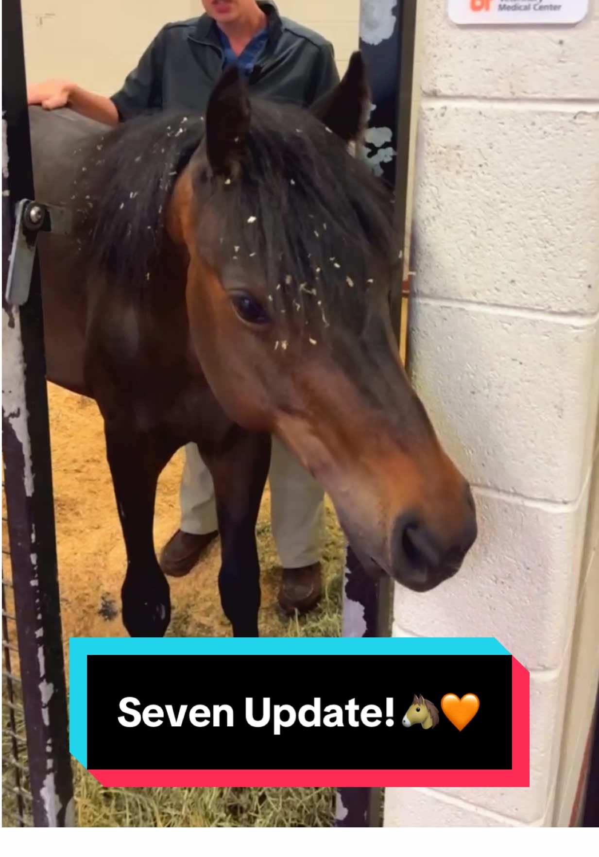 Seven is coming home!🐴🧡 #babyseven 
