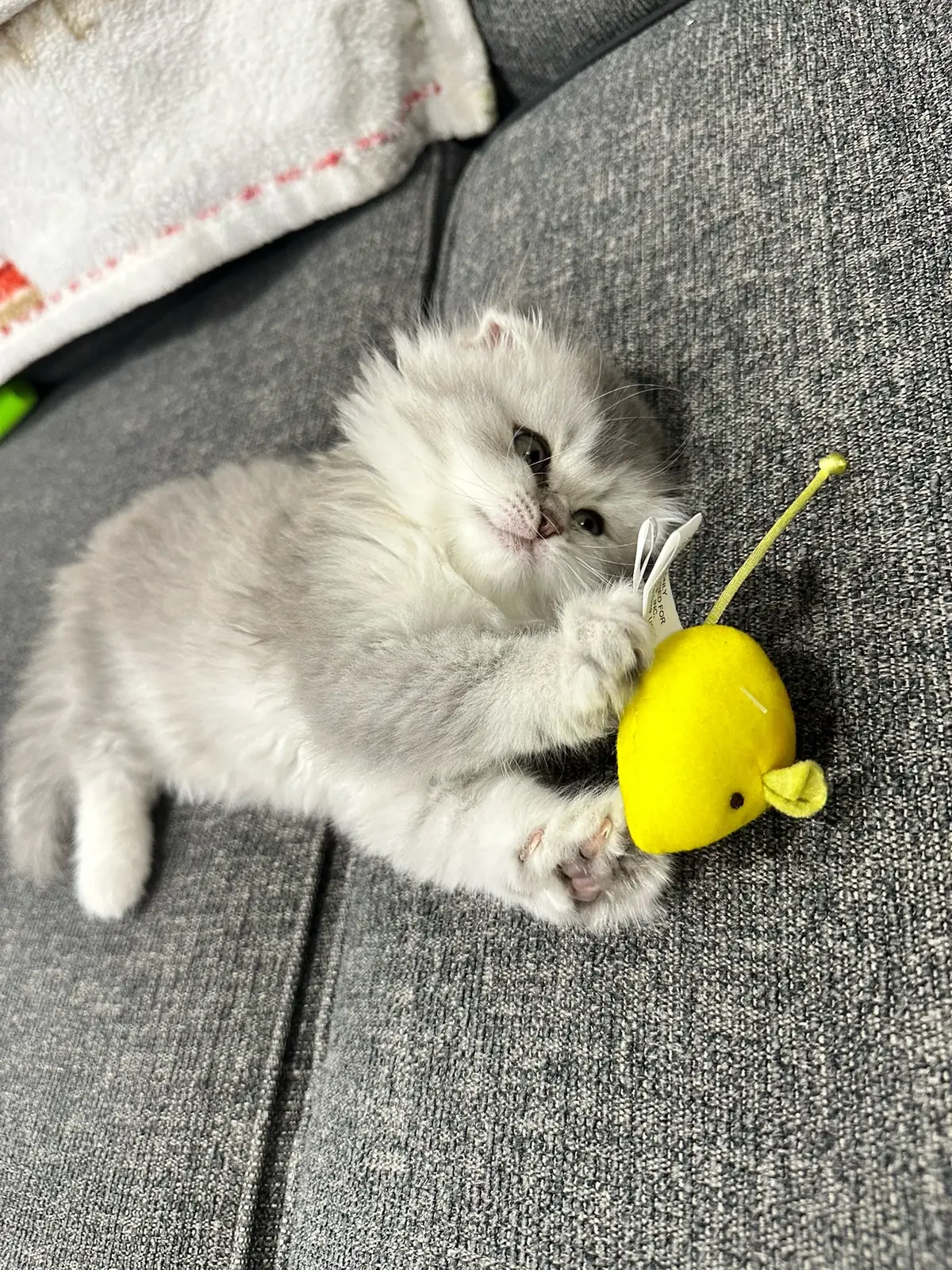 my shayla grow up so fast 🥹