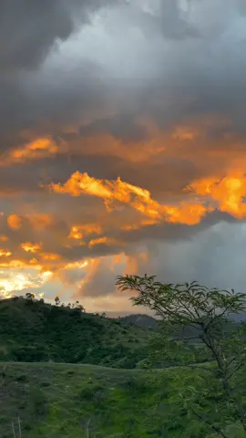 Atardecer 🌅 🤩#atardeceres 