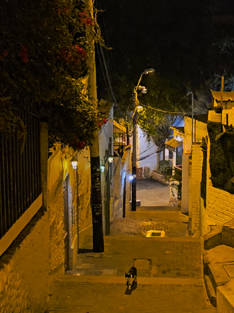 ¿Te conquista la magia del día o el susurro de la noche? Para caminar por las calles bohemias de #Barranco  📍Escaleras de la Oroya (Mural de Pedro Suárez-Vértiz) @PaisajeAndo @PaisajeAndo @PaisajeAndo  #caminar #calles #puentedelossuspiros  #peruanos #bajadadebaños  #creatorsearchinsights 