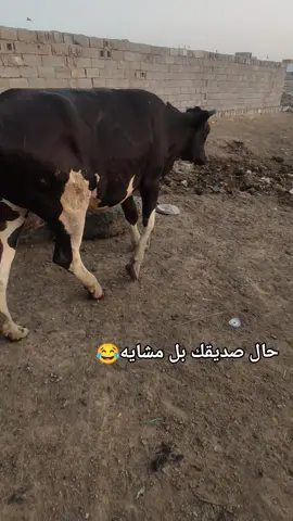 #كسبلوررررررررررررر🥰🥰💞💞🥰🥰💞💞 #لشعب_الصيني_ماله_حل😂😂_تصويري 