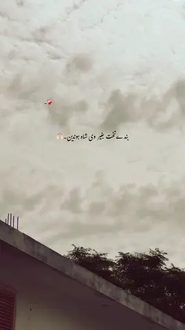 جے یار حلالی ہوئیں۔🥹🌸🙌🏻 #foryou #foryourpages #poetry #poetrystatus #aesthatic #fyp 