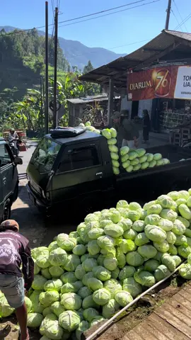 Panas de #fypシ゚ #virall #l300maniaindonesia #kubisbalap #bakulsayur 