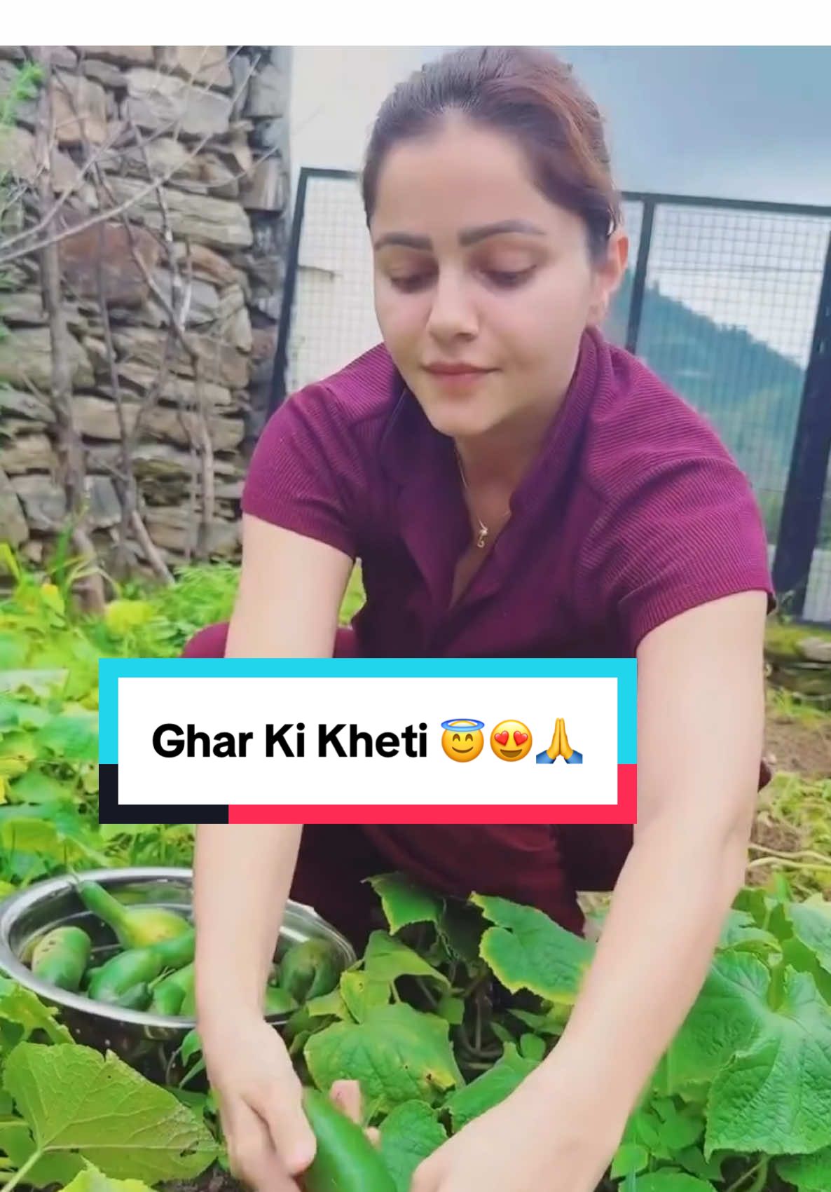 Ghar Ki Kheti 😍 .  #rubinadilaik #instantbollywood 