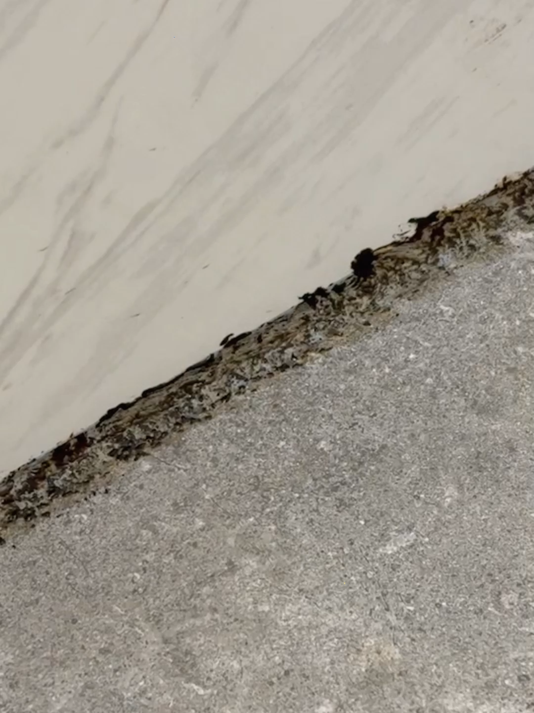 Its function is better in removing mold than bleach#cleaningtipsandtricks #washercleaning #moldcleaning #deepcleaning #cleaning #mold #MOLD #fyp