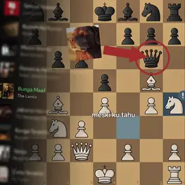 😹 #chess #chesscom #chesstiktok #chesstok #chessgame #chessmemes #gothamchess 