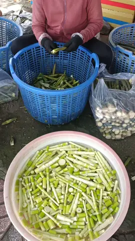 nhà e có măng vỏ luôn nhe khách sỉ nt e ạ#mang #mangtruc#mangtruc #@Hồ Tuyền-Măng Dầu Tiếng 