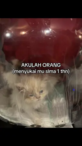 😔😔 #menyukaimu1tahun #pageforyou_🔥 #epyepeeeeeeeeee #fyppppopoooooooooppppppppppppppp 