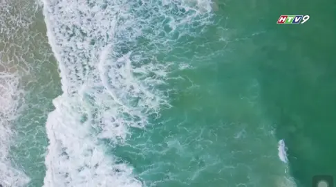 Phát triển công nghiệp xanh là hành động hướng đến mục tiêu nâng cao hiệu quả sản xuất, giảm tiêu thụ năng lượng, phát triển không gian xanh của các khu công nghiệp..  #chuyendongcongnghiep  #chuyendongcongnghiepvn  #16h30  #HTV9  #16h30hangtuan  #AmeiVN 