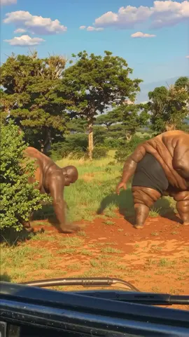 အက်အကောင်ကြီးတွေနဲ့လမ်းမှာထိပ်တိုက်တွေ့ရင်ဘယ်လိုလုပ်မလဲ😱😱😱 #crdvideo #ထူးဆန်းထွေလာ #ပြန်လည်မျှဝေခြင်း #fypシ゚viralシ #ထူးထူးဆန်းဆန်း 