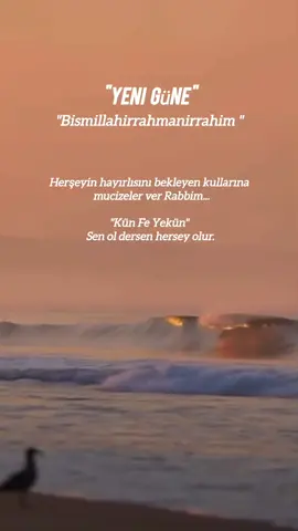 #yenigünebismillah🤲❤️🌸🌹 #hayırlısabahlar #dua #dualar #amin #aminyarobalallamin🤲🏻 #sabah #🌺 #🌷 #🍂 #✨ #🌲 #🌿 #🌛 #🌛رمضان 
