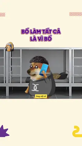 Bố làm tất cả là vì bố #cheemshanhoan 