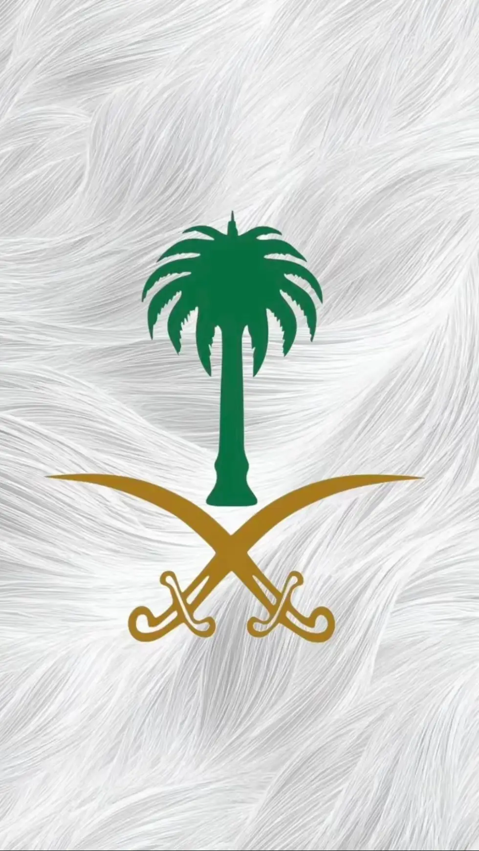 #محمد #السعودية #خلفيات #الرياض #اكسبلور #القائد #صور #محمدبن_سلمان_زعيم_الكره_الارضية #تصميمي #ترندالسعودية #المملكة_العربية_السعودية #usa #الشعب_الصيني_ماله_حل😂😂 #tiktok #خلفية #السيفين_والنخله #السعوديةالعظمى #محمدبن_سلمان_بن_عبدالعزيز_ال_سعود #ksa#hail #السعودية🇸🇦 #خلفيات4k #العرب_في_أوروبا #السعودية_الكويت_مصر_العراق_لبنان #حائل #حايل #kpop 
