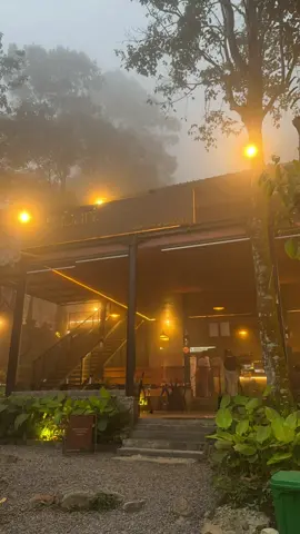Sanubari coffee ☕️ #coffeeshop #bogor #sanubaricoffee #kabut #jawabarat #puncak #sunny 