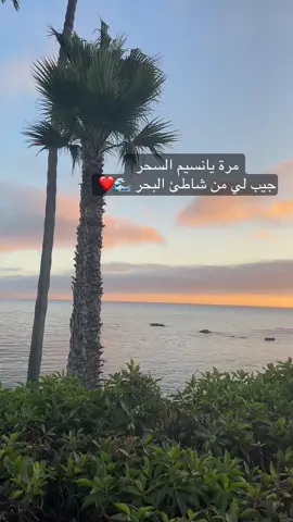 #usa🇺🇸 #سودانيز_تيك_توك_مشاهير_السودان🇸🇩 #الشعب_الصيني_ماله_حل😂😂 