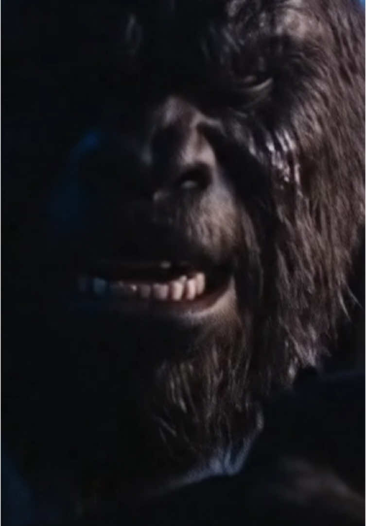 Bigfoot Wick. Bigfoot is the new John Wick. #bigfoot 