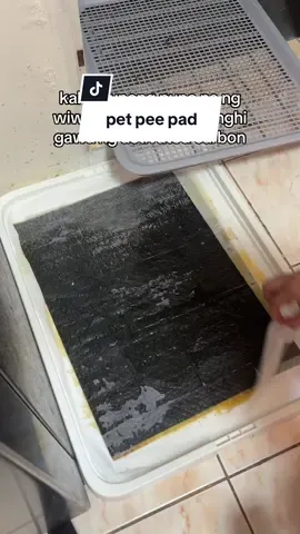 ambilis maka absorb and deodorize ng amoy ng wiwi #pettrainingpad #petpeepad #peepadfordogs #activatedcarbonpeepad #charcoalpeepad 