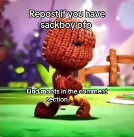 Moot up!! #sackboy #moot? #moot #moots? #fyp #viral #dontletthisflop #blowthisup 