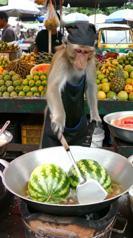 Siapa sangka, semangka digoreng?! Tapi yang lebih mengejutkan, yang masak... MONYET BERSERAGAM! 😱😂 Masak di tengah pasar Indonesia, rame banget, bikin ngakak tapi juga kagum! Kira-kira enak nggak ya semangka goreng ini? 🍉 #SemangkaGoreng   #MonyetMasak   #PasarIndonesia   #KulinerUnik   #ViralIndonesia   #FoodExperiment   #LucuBanget   #MonyetPintar   #JajananPasar   #MukbangUnik   #fyp♥️♥️♥️