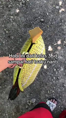Sampai tuaku nanti fyppp