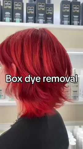 undoing some intrusive thoughts- intrusive thoughts being black box dye! #hairtok #fyp #foryou #redhair #colourcorrection #blackboxdye #texturedhair #seasaltspray #toniandguy #capcut #rizzlekicks #brightredhair @Toni & Guy Bury St Edmunds 